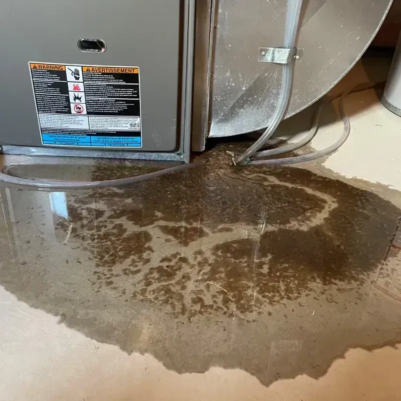 Appliance Leak Cleanup in Jessup, MD